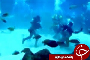 فوتبال در اعماق دریا همراه با ماهی ها! + فیلم