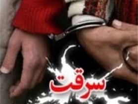 کشف 98 درصد سرقت ها در شوش