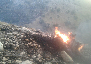 مهار آتش سوزی جنگلها و منابع طبیعی شهرستان رومشکان