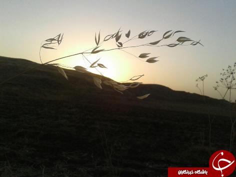 انرژی پاک