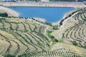 همراه با ورزش،همگام با طبیعت