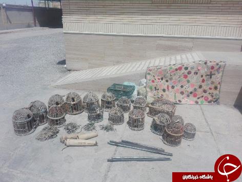 دستگیری ۲ شکارچی متخلف در فردوس