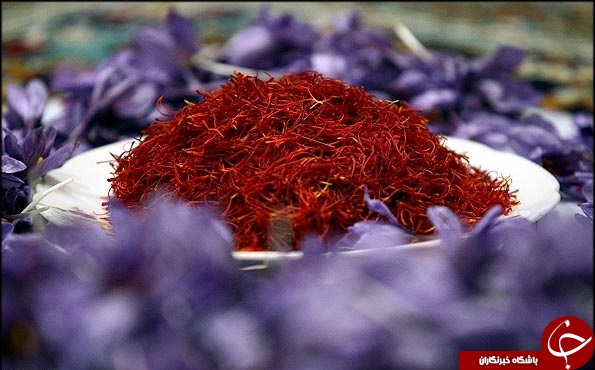 هدیه ای که بلای جان ایران شد!