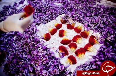 هدیه ای که بلای جان ایران شد!