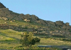 بازگشت 100هزارمترمربع از اراضی ملی به منابع طبیعی