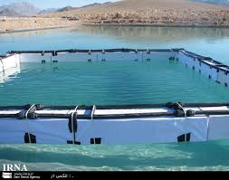 اجرای طرح پرورش ماهی در قفس در ساحل بوشهر