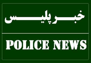 دستگيری 12 سارق و كشف 24 فقره سرقت