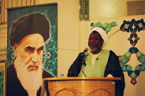 عضو برجسته جنبش اسلامی نیجریه: انقلاب ایران الهام&zwnj;بخش بسیاری از گروه&zwnj;های آزادی است/ از رابطه با تهران سود می&zwnj;بریم
