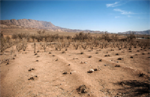 استان دارای 250 آبخوان ممنوعه و ممنوعه بحرانی است.