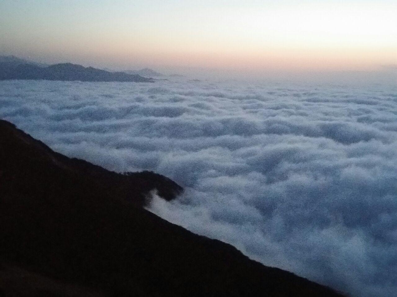 غروب زیبای خورشید در جنگل ابر + تصاویر
