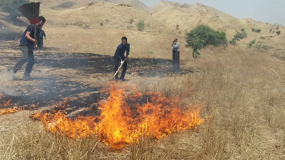 مهار آتش سوزي پارك جنگلي تمبي مسجدسليمان