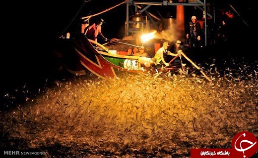 روش عجیب ماهی&zwnj;گیری با آتش