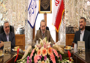 دیپلماسی پارلمانی مکمل دیپلماسی رسمی است