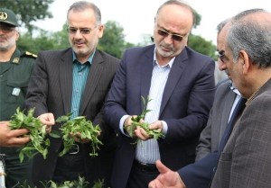 کاهش مشکلات کشاورزی با تحقیقات کاربردی