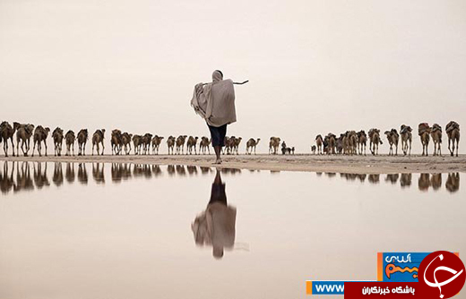 عکس/ هنر فوق العاده&zwnj;ی عکاسان را ببینید!