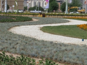 کاشت گیاه فستوکا در فضاهای سبز شهرداری ارومیه