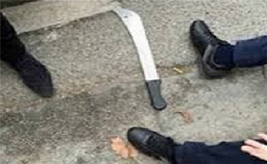 یک کشته و دو زخمی در حمله با سلاح سرد در جنوب آلمان