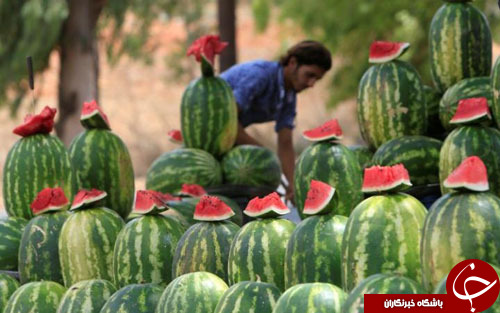 از مدال طلای حسن یزدانی در رقابت&zwnj;های المپیک تا حضور رهبر کره شمالی در ریو