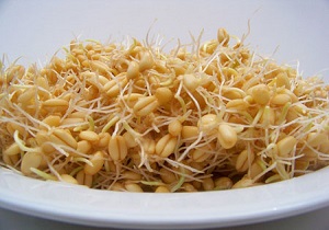 لاغری با جوانه گندم