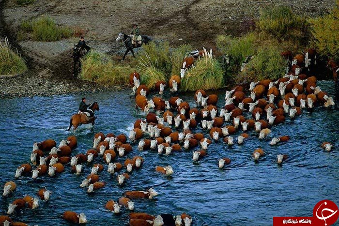 عکس&zwnj;ها دنیایی از حرف&zwnj;ها&zwnj;+تصاویر