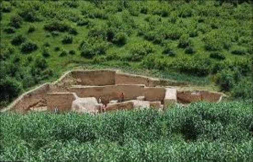 گلستان در هفته ای که گذشت
