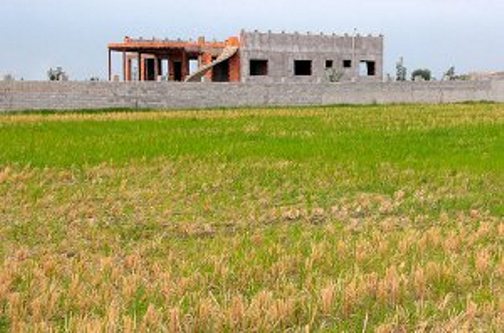 گلستان در هفته ای که گذشت
