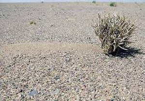 کمبود آب در دشت های هرمزگان