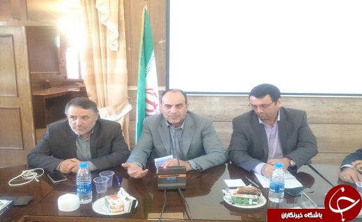 کشمش قزوین به کام دیگر استانها
