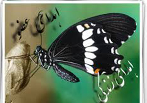 «اهدا عضو»، اهدا زندگی