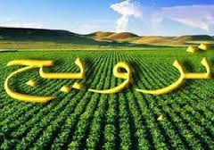 گلستان از اولینها در طرح نظام نوین ترویج کشاورزی
