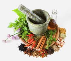 فعالیت 40 دانشگاه داروسازی و درمانگاه طب سنتی در کشور