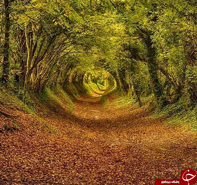 شگفتی طبیعت به روایت نشنال جئوگرافی