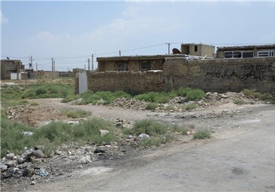 شیراز به اندازه یک شهر، حاشیه&zwnj;نشین دارد