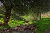 اجرای طرح آموزش پیشگیری از آتش سوزی در دزفول