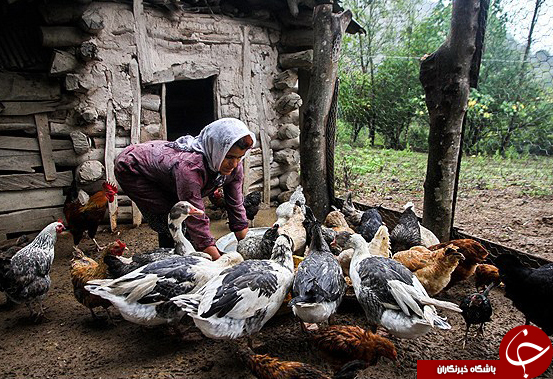 عکس هایی که بوی زندگی می دهد عکس هایی که بوی زندگی می دهد