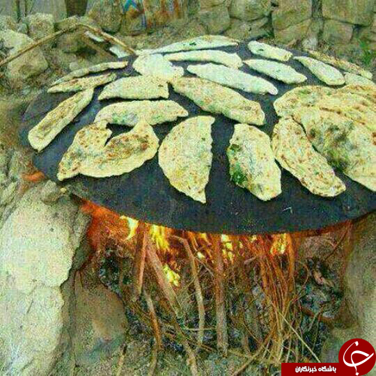 عکس هایی که بوی زندگی می دهد عکس هایی که بوی زندگی می دهد