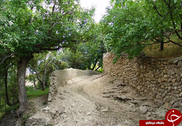 عکس هایی که بوی زندگی می دهد عکس هایی که بوی زندگی می دهد