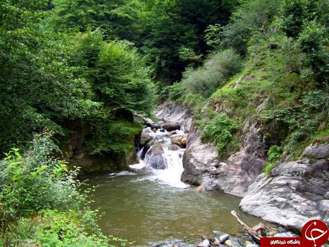 عکس هایی که بوی زندگی می دهد عکس هایی که بوی زندگی می دهد