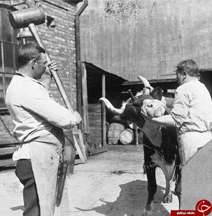 تصاویر زیرخاکی و گمشده در تاریخ