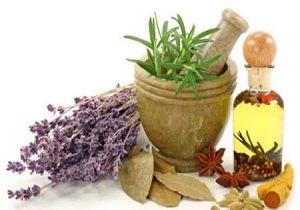 پرورش حکیم به جای طبیب