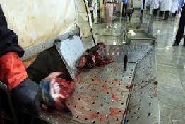 کشتارگاه انار نیاز به نظارت دارد