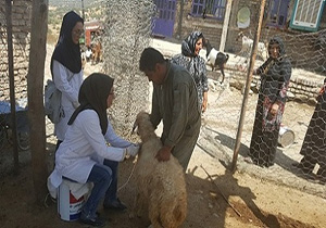 آغاز واکسیناسیون PPR با کمک بسیج دانشجویی در دو دهستان لرستان
