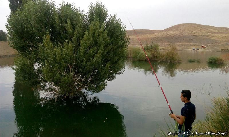 برگزاری جشنواره بزرگ ماهیگیری ورزشی در الیگودرز