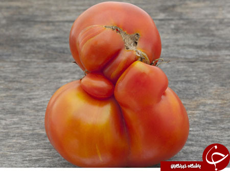 اقدام جالب والمارت برای کاهش دور ریز میوه و سبزیجات+ تصاویر