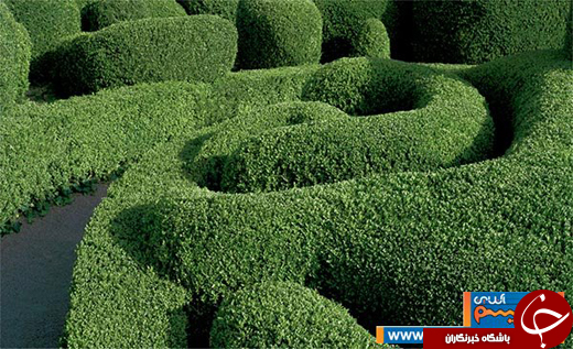عکس/ باغ&zwnj;های منظم و هندسی در فرانسه