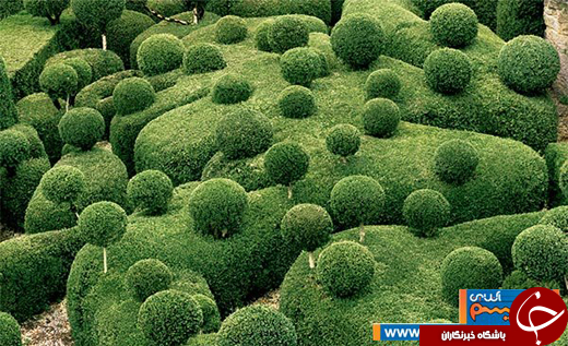 عکس/ باغ&zwnj;های منظم و هندسی در فرانسه