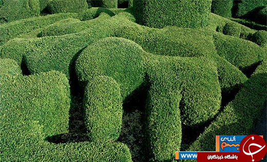 عکس/ باغ&zwnj;های منظم و هندسی در فرانسه