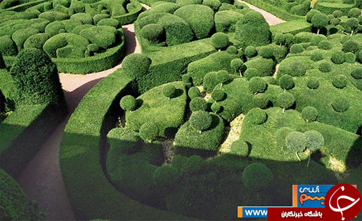 عکس/ باغ&zwnj;های منظم و هندسی در فرانسه