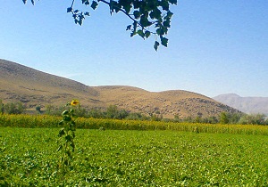 توصیه های هواشناسی کشاورزی