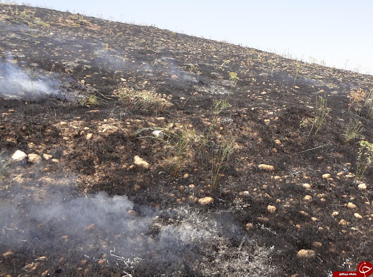 جنگل گیان در محاصره آتش